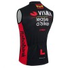 Fietsvest 2026 Visma Lease A Bike Zwart