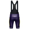 Set Fietsshirt + Korte Koersbroek 2025 Wilier Vittoria MTB Factory Team Wit